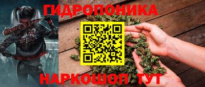 мяу мяу мука Гусь-Хрустальный