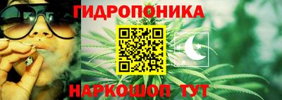 2c-b Гусев