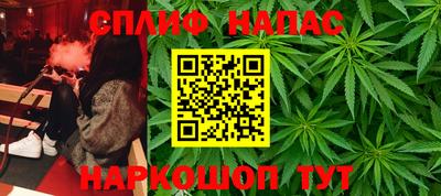 мяу мяу мука Гусь-Хрустальный
