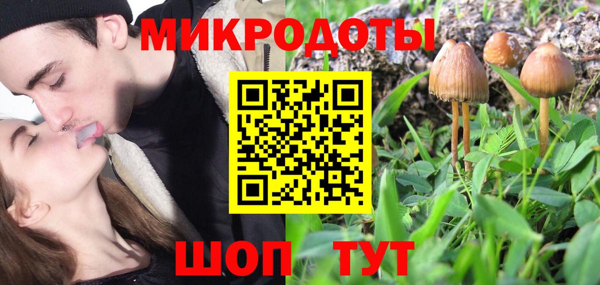 Красный Сулин  Галлюциногенные грибы Cubensis  Вход с VPN  Галлюциногенные грибы GOLDEN TEACHER 