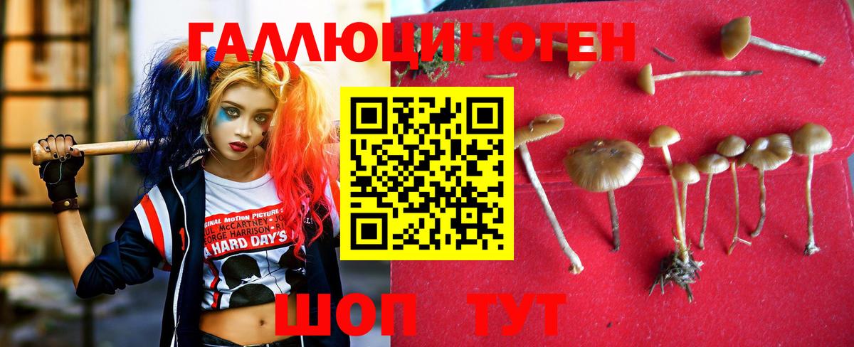 Галлюциногенные грибы GOLDEN TEACHER Красный Сулин